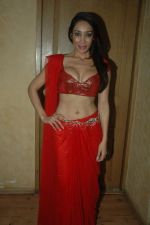 Sofia Hayat at the Audio release of Diary of a Butterfly in Fun Republic on 30th Jan 2012 (51).JPG