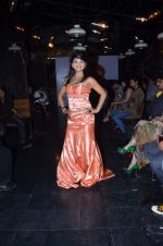 at Designer Aarti Vijay Gupta showcases collection in Rude Lounge on 30th Jan 2012 (96).JPG