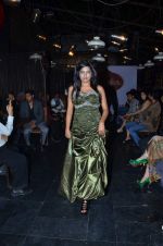 at Designer Aarti Vijay Gupta showcases collection in Rude Lounge on 30th Jan 2012 (99).JPG