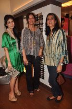 at the launch of Anuradha Ansari_s lifestyle studio - Studio One Eighty Nine on 2nd Feb 2012 (143).JPG