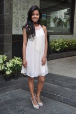 at Ash Chandler and Junelia_s Wedding brunch at 212 in Mumbai on 5th Feb 2012 (25).JPG