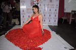 Madhavi Sharma valentine photo shoot in Shivas Studio on 7th Feb 2012 (11).JPG