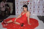 Madhavi Sharma valentine photo shoot in Shivas Studio on 7th Feb 2012 (15).JPG