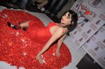 Madhavi Sharma valentine photo shoot in Shivas Studio on 7th Feb 2012 (19).JPG