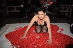Madhavi Sharma valentine photo shoot in Shivas Studio on 7th Feb 2012 (39).JPG