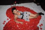 Madhavi Sharma valentine photo shoot in Shivas Studio on 7th Feb 2012 (42).JPG
