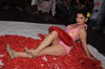 Madhavi Sharma valentine photo shoot in Shivas Studio on 7th Feb 2012 (66).JPG