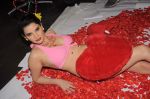 Madhavi Sharma valentine photo shoot in Shivas Studio on 7th Feb 2012 (67).JPG