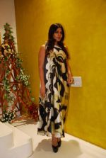 Nisha Jamwal at Ritu Pande_s Romantic Couture hosted by Nisha Jamwal in Creo on 7th Feb 2012 (12).JPG