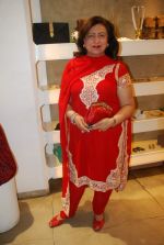 at Ritu Pande_s Romantic Couture hosted by Nisha Jamwal in Creo on 7th Feb 2012 (25).JPG