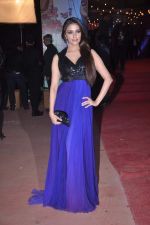 Aarti Chhabria at Stardust Awards red carpet in Mumbai on 10th Feb 2012 (162).JPG
