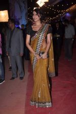 Bipasha Basu at Stardust Awards red carpet in Mumbai on 10th Feb 2012 (241).JPG