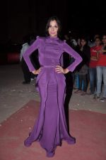 at Stardust Awards red carpet in Mumbai on 10th Feb 2012 (37).JPG