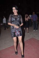 at Stardust Awards red carpet in Mumbai on 10th Feb 2012 (38).JPG