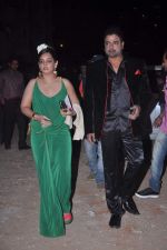 at Stardust Awards red carpet in Mumbai on 10th Feb 2012 (9).JPG