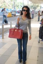 Amisha Patel snapped at airport, Mumbai on 16th Feb 2012 (3).JPG