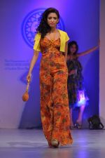 Alecia Raut at Sophia college fashion show in Mumbai on 17th Feb 2012 (125).JPG