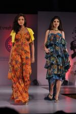 at Sophia college fashion show in Mumbai on 17th Feb 2012 (131).JPG