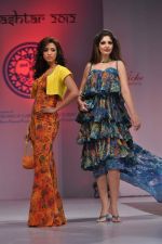 at Sophia college fashion show in Mumbai on 17th Feb 2012 (132).JPG
