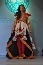 at Sophia college fashion show in Mumbai on 17th Feb 2012 (43).JPG