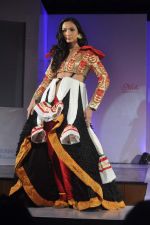 at Sophia college fashion show in Mumbai on 17th Feb 2012 (46).JPG
