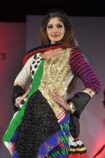 at Sophia college fashion show in Mumbai on 17th Feb 2012 (52).JPG