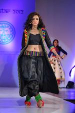 at Sophia college fashion show in Mumbai on 17th Feb 2012 (66).JPG