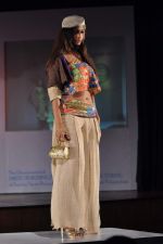 at Sophia college fashion show in Mumbai on 17th Feb 2012 (85).JPG