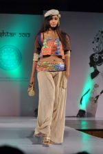 at Sophia college fashion show in Mumbai on 17th Feb 2012 (86).JPG