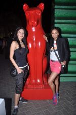 Aanchal Kumar, Candice Pinto at Chitrangada Singh bash to announce the brand ambassador for Puma in Olive, mumbai on 21st Feb 2012 (339).JPG