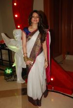 Shama Sikander at Vikas Kalantri wedding sangeet in J W Marriott on 22nd Feb 2012 (4).JPG