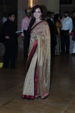 Dia Mirza at Honey Bhagnani wedding in Mumbai on 27th Feb 2012 (215).JPG