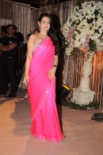 Amisha Patel at the Honey Bhagnani wedding reception on 28th Feb 2012 (126).JPG