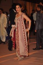 Sophie Chaudhary at the Honey Bhagnani wedding reception on 28th Feb 2012 (170).JPG