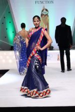 Model walk the ramp for Archana Kocchar and other designer showcase Summer Brides at SRETPC show on 3rd March 2012 (108).JPG