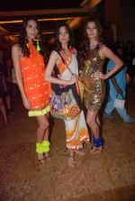at Day 2 of lakme fashion week 2012 in Grand Hyatt, Mumbai on 3rd March 2012 (267).JPG