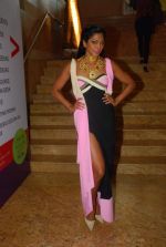 at Day 3 of lakme fashion week 2012 in Grand Hyatt, Mumbai on 4th March 2012 (48).JPG