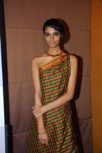 at Day 3 of lakme fashion week 2012 in Grand Hyatt, Mumbai on 4th March 2012 (76).JPG