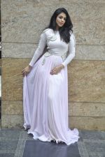 Anjana Sukhani poses in Nitya Bajaj design on 5th March 2012 (11).JPG