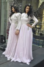 Anjana Sukhani poses in Nitya Bajaj design on 5th March 2012 (17).JPG