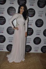 Anjana Sukhani poses in Nitya Bajaj design on 5th March 2012 (2).JPG