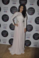 Anjana Sukhani poses in Nitya Bajaj design on 5th March 2012 (4).JPG