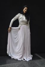Anjana Sukhani poses in Nitya Bajaj design on 5th March 2012 (9).JPG