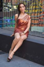 Sofia Hayat at Day 4 of lakme fashion week 2012 in Grand Hyatt, Mumbai on 5th March 2012 (175).JPG