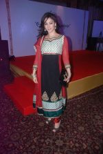at Essence of Kashmir fashion showcase in Sea Princess, Mumbai on 17th March 2012 (42).JPG
