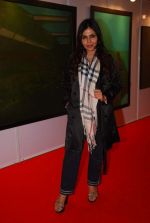 Nisha Jamwal at the Preview of Osian art auction in Nariman Point on 19th March 2012 (15).JPG