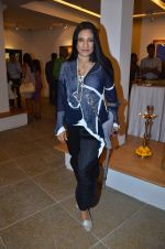 Aarti Surendranath at Paresh Maity art event in ICIA on 22nd March 2012 (3).JPG