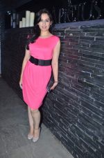 Akriti Kakkar at Apicus lounge launch in Mumbai on 29th March 2012 (187).JPG