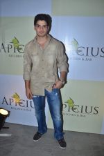 at Apicus lounge launch in Mumbai on 29th March 2012 (145).JPG