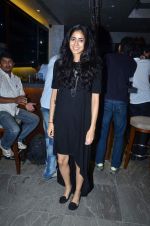 at Apicus lounge launch in Mumbai on 29th March 2012 (148).JPG